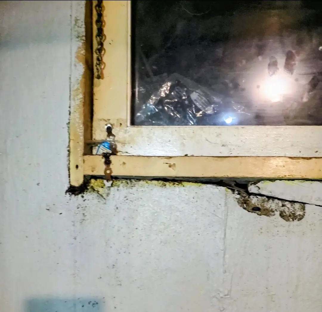 Basement Window Well & Leak Repair photo
