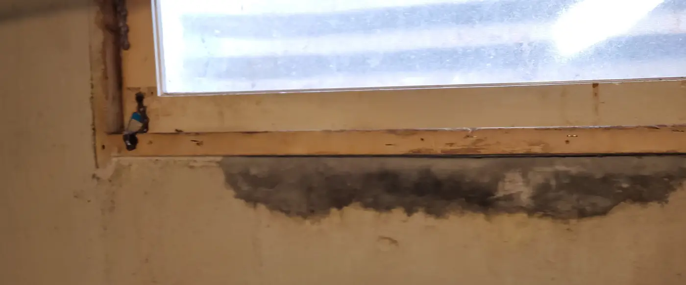 Basement Window Well & Leak Repair photo